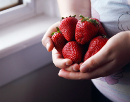 Imagen Comercio Local